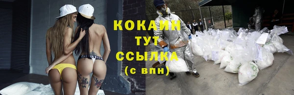 трава Гусиноозёрск