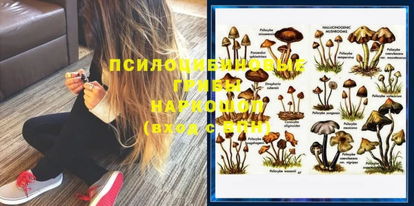 трава Гусиноозёрск
