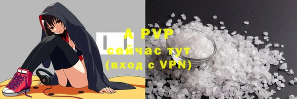 трава Гусиноозёрск