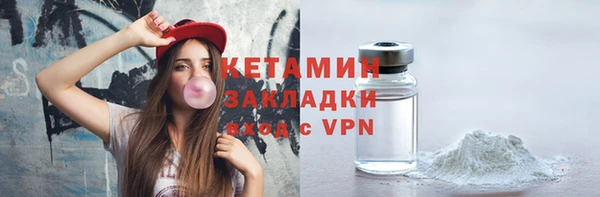 трава Гусиноозёрск