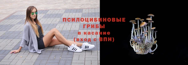 ALPHA-PVP Гусев