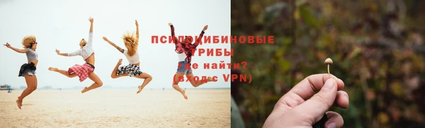 ALPHA-PVP Гусев