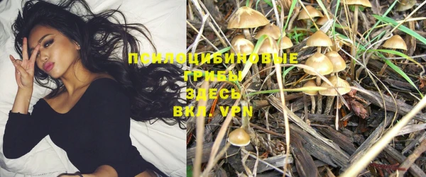 трава Гусиноозёрск