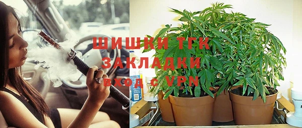 соль ск Гусь-Хрустальный