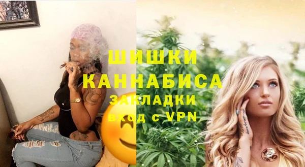 трава Гусиноозёрск