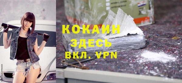 ALPHA-PVP Гусев