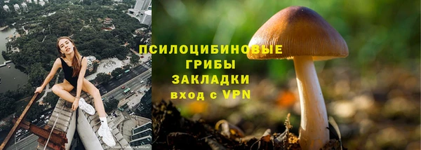 трава Гусиноозёрск