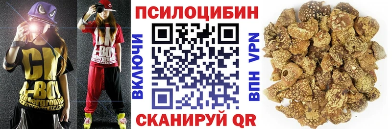 Псилоцибиновые грибы Magic Shrooms  KRAKEN ССЫЛКА  Курильск  сколько стоит 